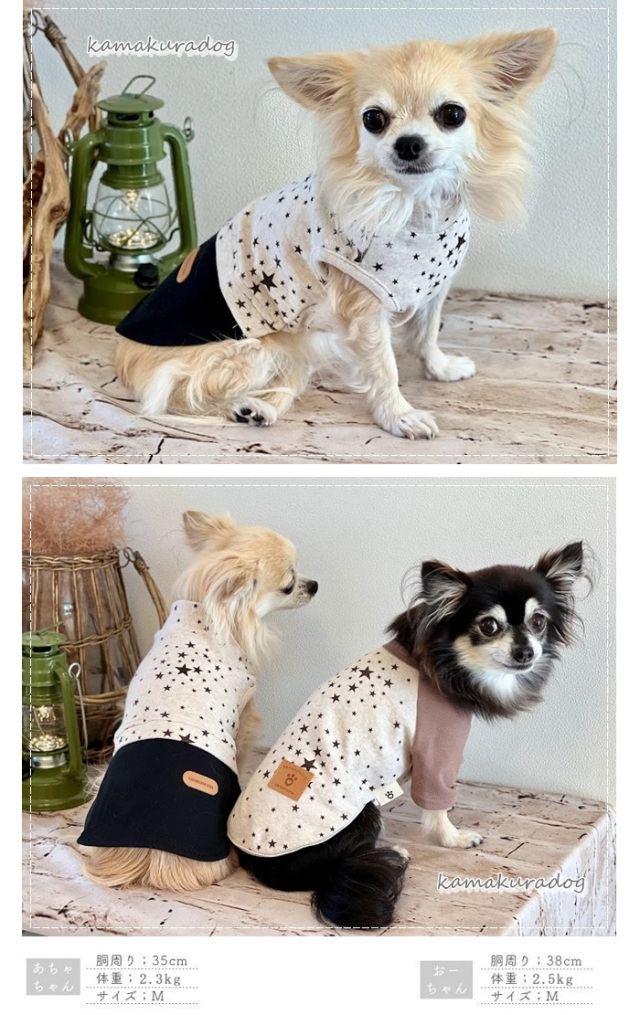 可愛い小型犬の洋服通販 鎌倉ドッグ チョコスターつなぎ＆ワンピース