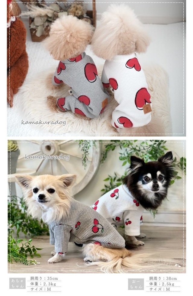 可愛い小型犬の洋服通販 鎌倉ドッグ ペインティングワッフル