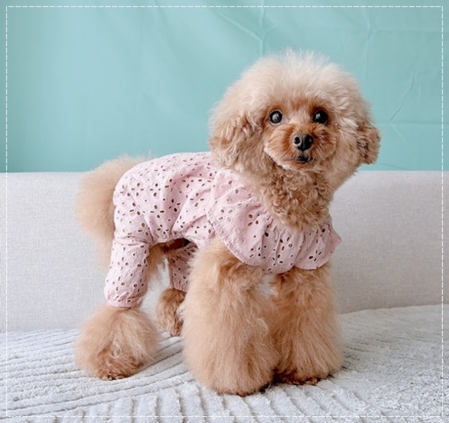 可愛い小型犬の洋服通販 鎌倉ドッグ 花びらスカラップつなぎ＆ワンピ