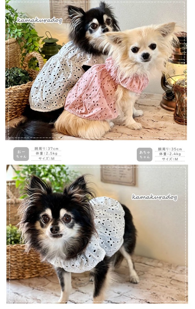 可愛い小型犬の洋服通販 鎌倉ドッグ 花びらスカラップつなぎ＆ワンピ