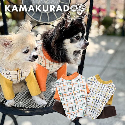 ウィンドウチェックつなぎ