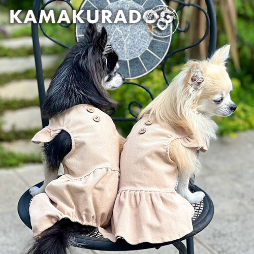 XSサイズ犬服 - 体重1kg前後の小型犬にぴったりのスタイリッシュ