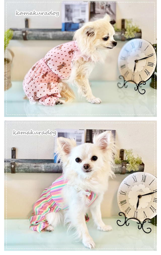 Fifi&Romeo フィフィアンドロメオ カシミヤ アヒルデート D Fifi&Romeo