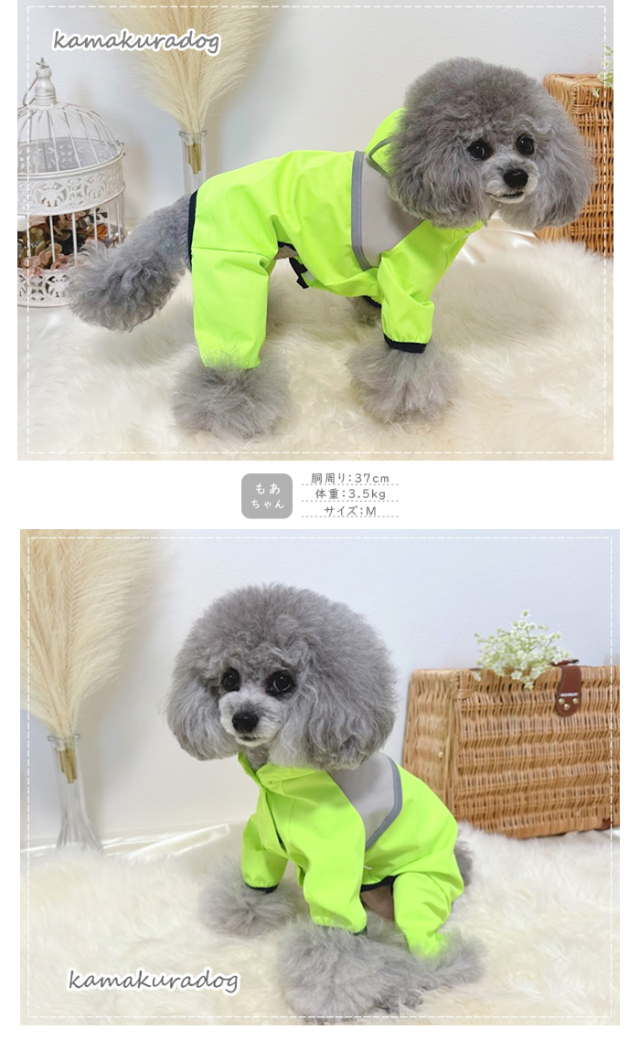 可愛い小型犬の洋服通販 鎌倉ドッグ つなぎレインコート