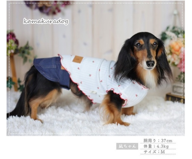 カジュアルデニムパンツ＆スカート 可愛い小型犬の洋服通販 鎌倉ドッグ
