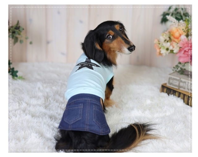 カジュアルデニムパンツ＆スカート 可愛い小型犬の洋服通販 鎌倉ドッグ