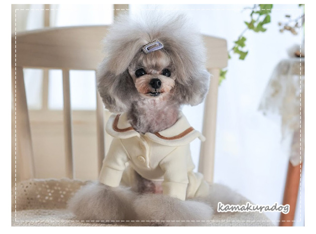 ハンドメイド　耳付きセーラーバルーン　オーダー小型犬 セーラーカラーつなぎ 可愛い小型犬の洋服通販 鎌倉ドッグ
