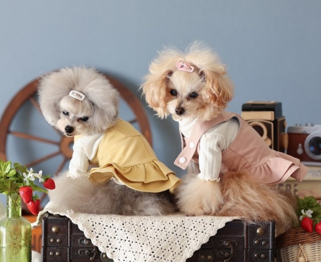 ワークサロペット＆ジャンパースカート 可愛い小型犬の洋服通販 鎌倉ドッグ
