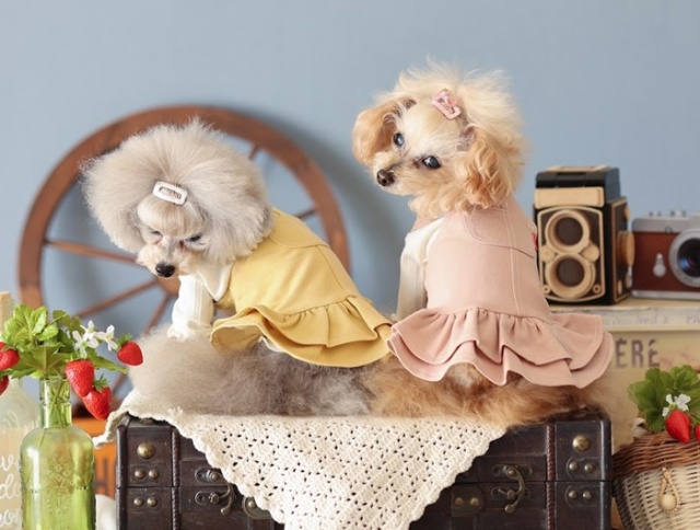 ワークサロペット＆ジャンパースカート 可愛い小型犬の洋服通販 鎌倉ドッグ