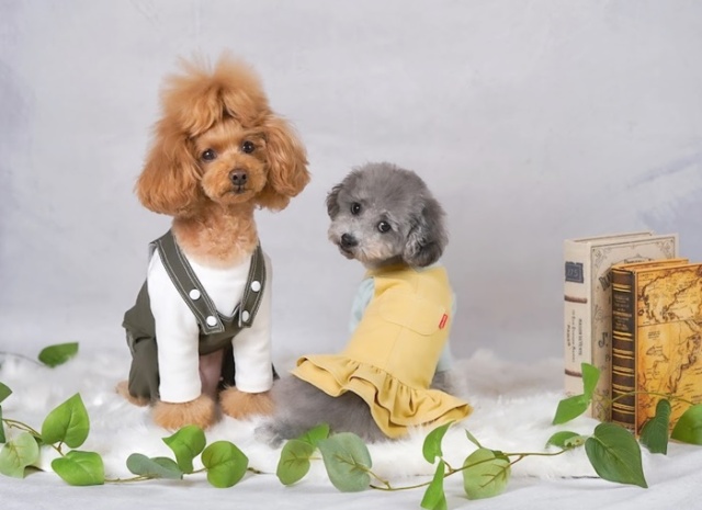 ワークサロペット＆ジャンパースカート 可愛い小型犬の洋服通販 鎌倉ドッグ