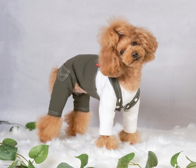 ワークサロペット＆ジャンパースカート 可愛い小型犬の洋服通販 鎌倉ドッグ