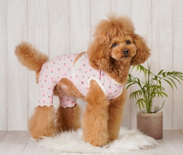 No.392•393 犬服ハンドメイド　バックオープンワンピース No.392•393 犬服ハンドメイド バックオープンワンピース - メルカリ