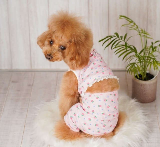 いちごバックオープンつなぎ 可愛い小型犬の洋服通販 鎌倉ドッグ