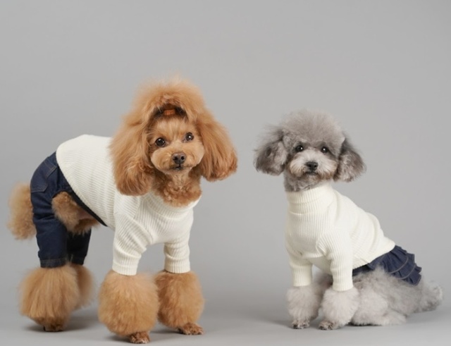 kamakuraデニムサロペット・ジャンパースカート 可愛い小型犬の洋服