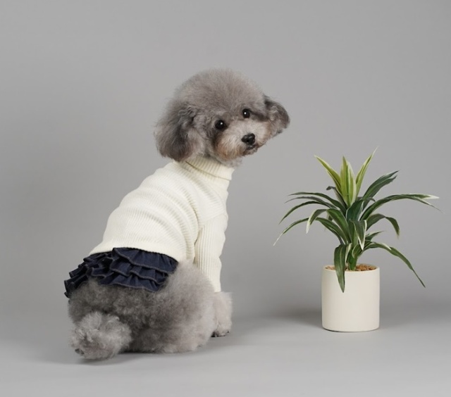 kamakuraデニムサロペット・ジャンパースカート 可愛い小型犬の洋服
