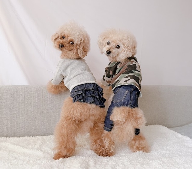 kamakuraデニムサロペット・ジャンパースカート 可愛い小型犬の洋服
