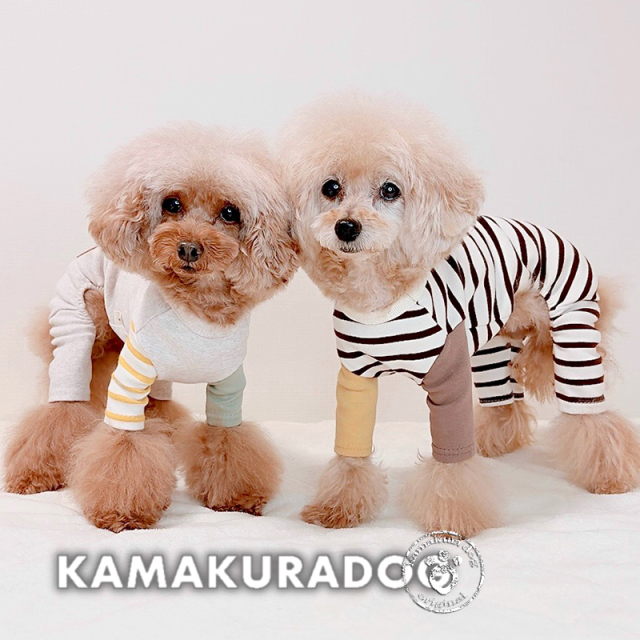 NEW鎌倉ボーダーつなぎ 可愛い小型犬の洋服通販 鎌倉ドッグ
