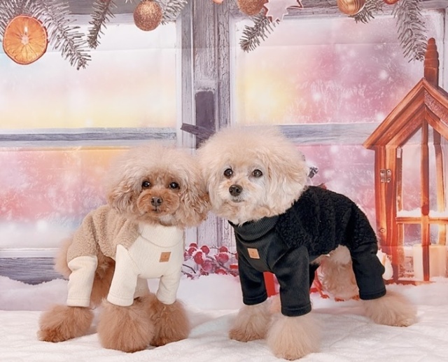 コーデュロイ×ボアつなぎ 可愛い小型犬の洋服通販 鎌倉ドッグ