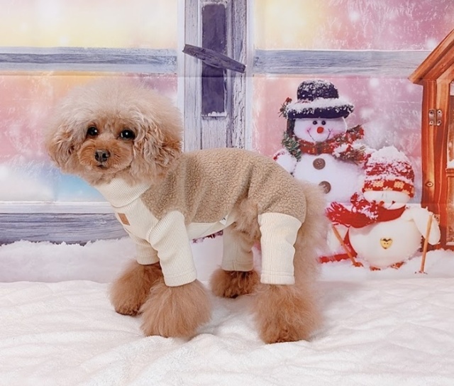 コーデュロイ×ボアつなぎ 可愛い小型犬の洋服通販 鎌倉ドッグ