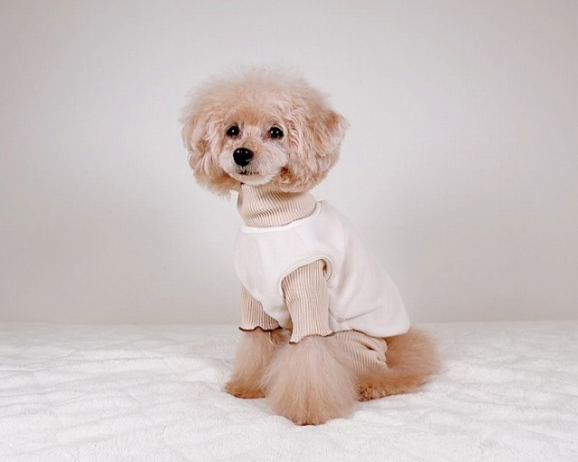 オータムリブつなぎ 可愛い小型犬の洋服通販 鎌倉ドッグ