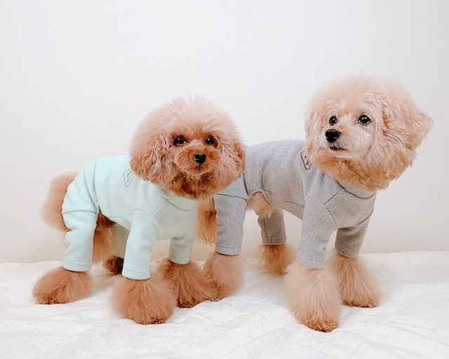 スタンプフリースつなぎ 可愛い小型犬の洋服通販 鎌倉ドッグ