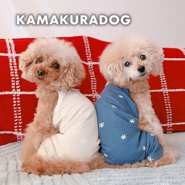 フラワー柄特集｜愛犬に華やかでおしゃれな犬服 | KAMAKURADOG