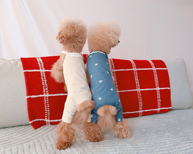 プチデイジーキャミロンパース 可愛い小型犬の洋服通販 鎌倉ドッグ