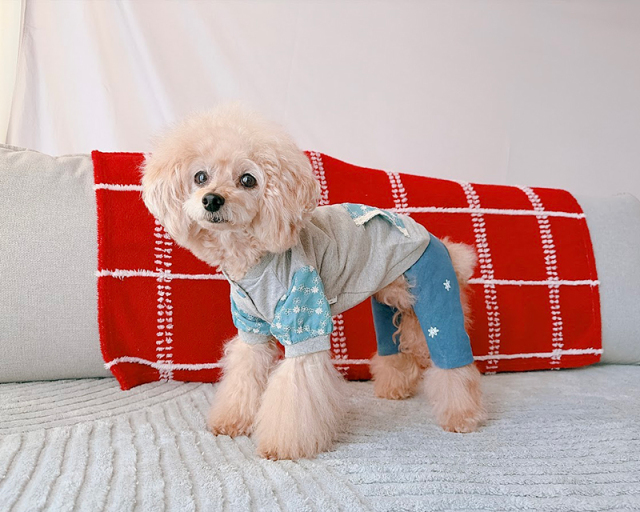 プチデイジーキャミロンパース 可愛い小型犬の洋服通販 鎌倉ドッグ