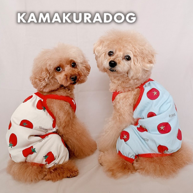 トマトポップキャミつなぎ 可愛い小型犬の洋服通販 鎌倉ドッグ