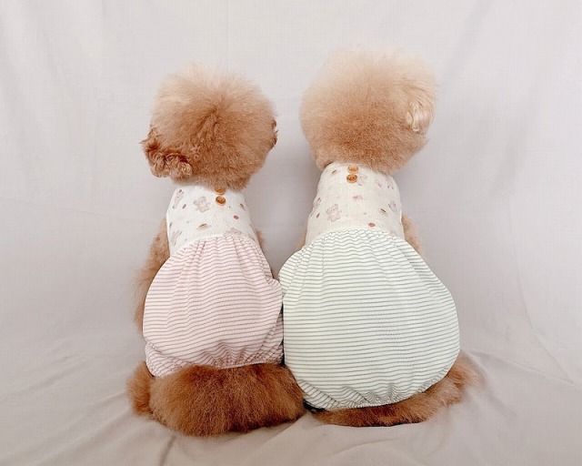 くまさんふんわりロンパース 可愛い小型犬の洋服通販 鎌倉ドッグ