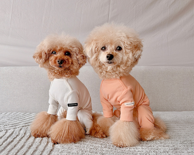 NEWインナーリブロンパース 可愛い小型犬の洋服通販 鎌倉ドッグ
