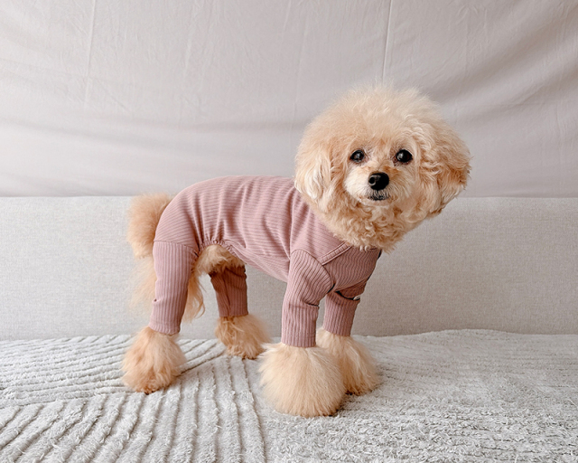 NEWインナーリブロンパース 可愛い小型犬の洋服通販 鎌倉ドッグ