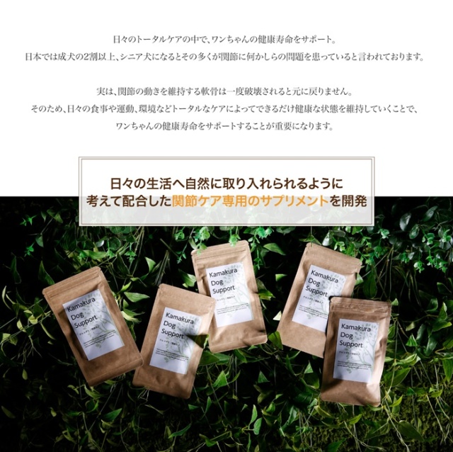 日々の生活へ自然に取り入れられるように考えて配合