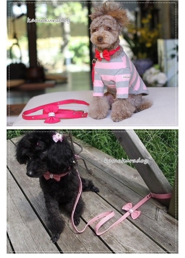 小型犬用小物通販 鎌倉DOG リボン付きリード（本革製）
