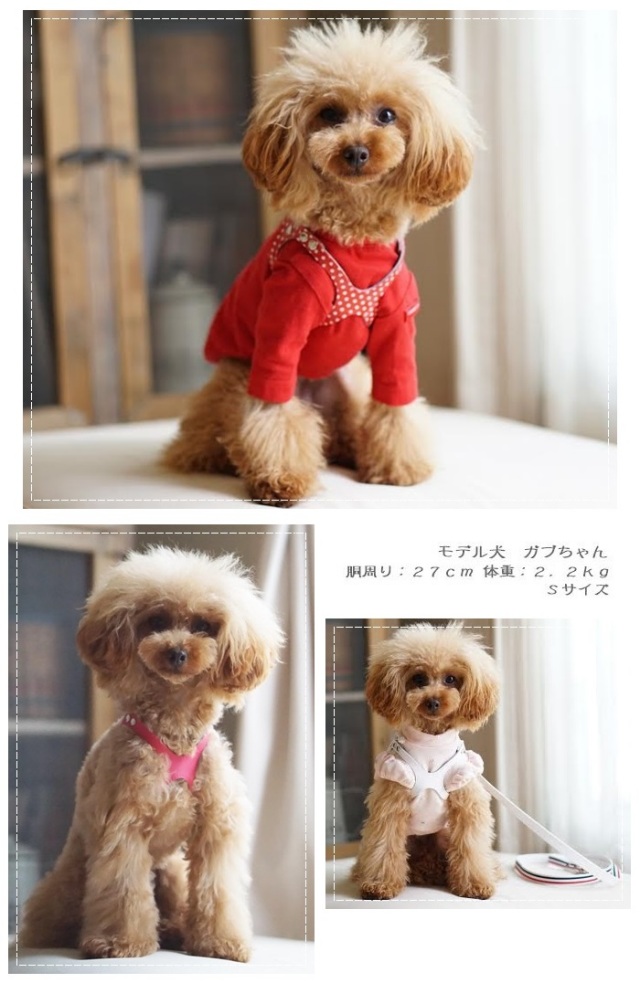 可愛い小型犬用小物通販 鎌倉ｄｏｇ メガネ型ハーネス