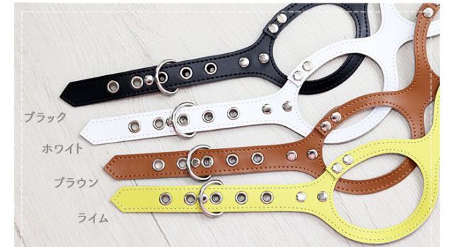 ブラック・ホワイト・ブラウン・ライムの全4色のメガネ型ハーネスを並べた平置き画像