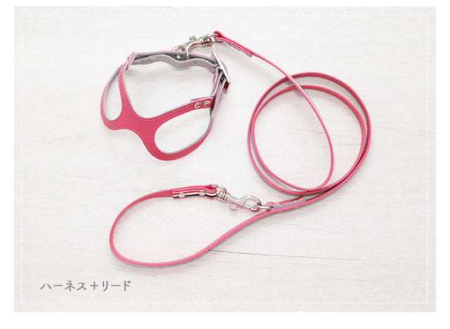 ピンク色のメガネ型ハーネスとリードのセット