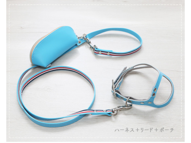 ブルーのメガネ型ハーネスとリードとポーチのセット