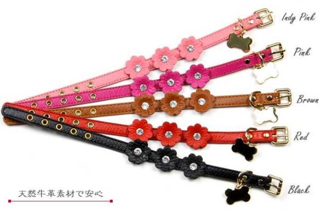 可愛い小型犬用首輪通販 鎌倉DOG 首輪