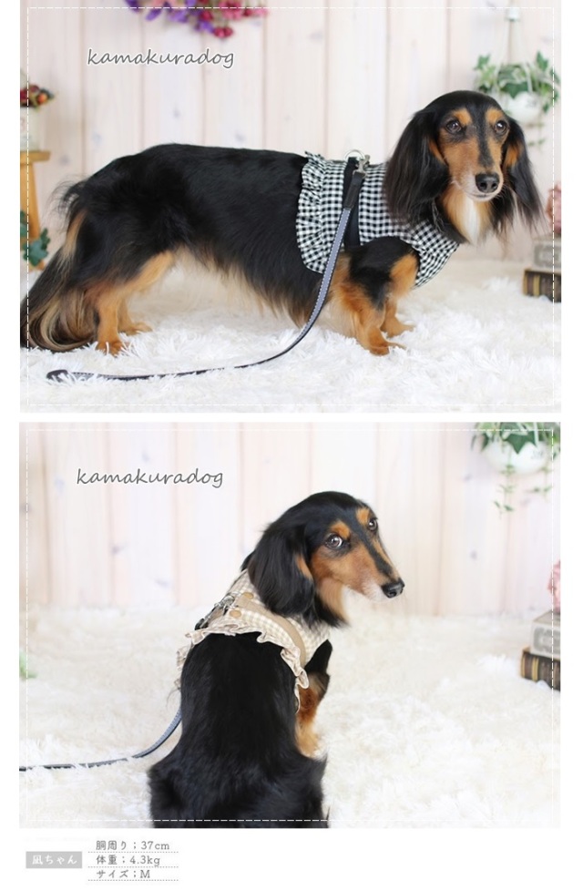 くま ハンドメイド 犬服 Rockkiss ラグランロンＴ ミニ裏毛 楽天市場】【期間限定P5倍】犬ロンパース 犬 服 小型犬 超小型