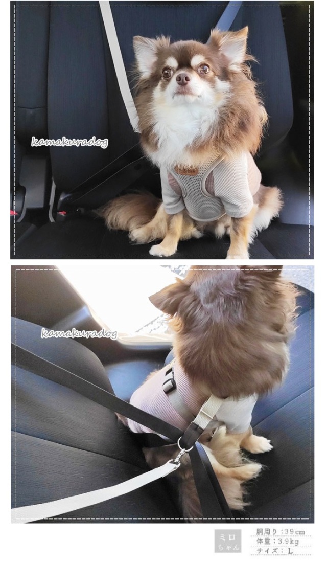 可愛い小型犬の洋服通販 鎌倉ドッグ NEWドライビングハーネス