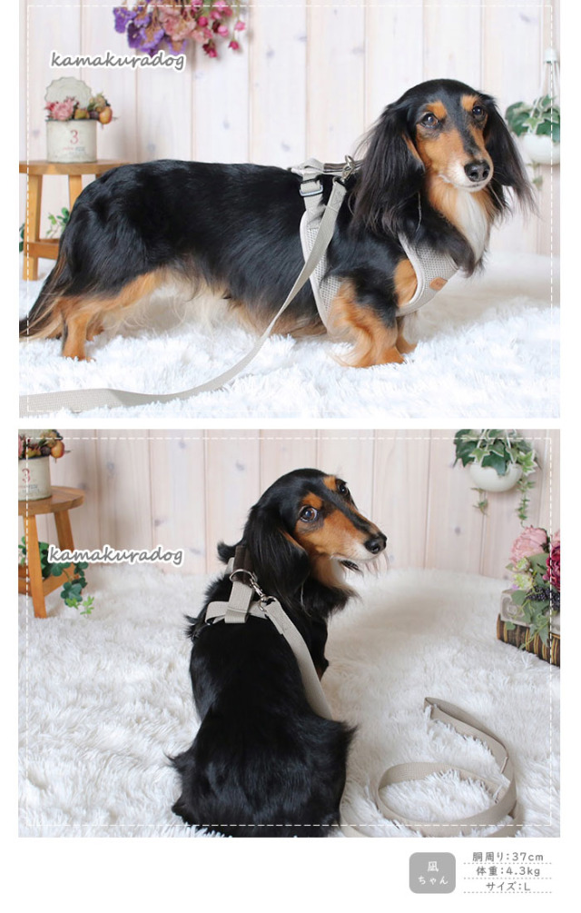 可愛い小型犬の洋服通販 鎌倉ドッグ NEWドライビングハーネス