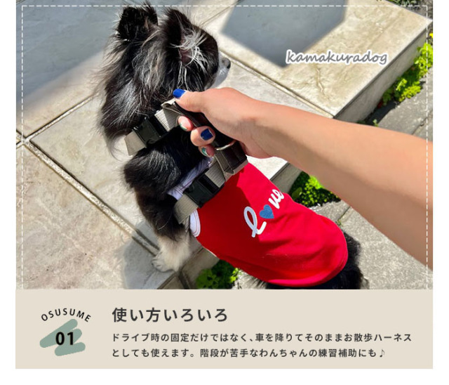 ドイリー❤️DORA２枚 h238t1.jpg?t=20231107130843