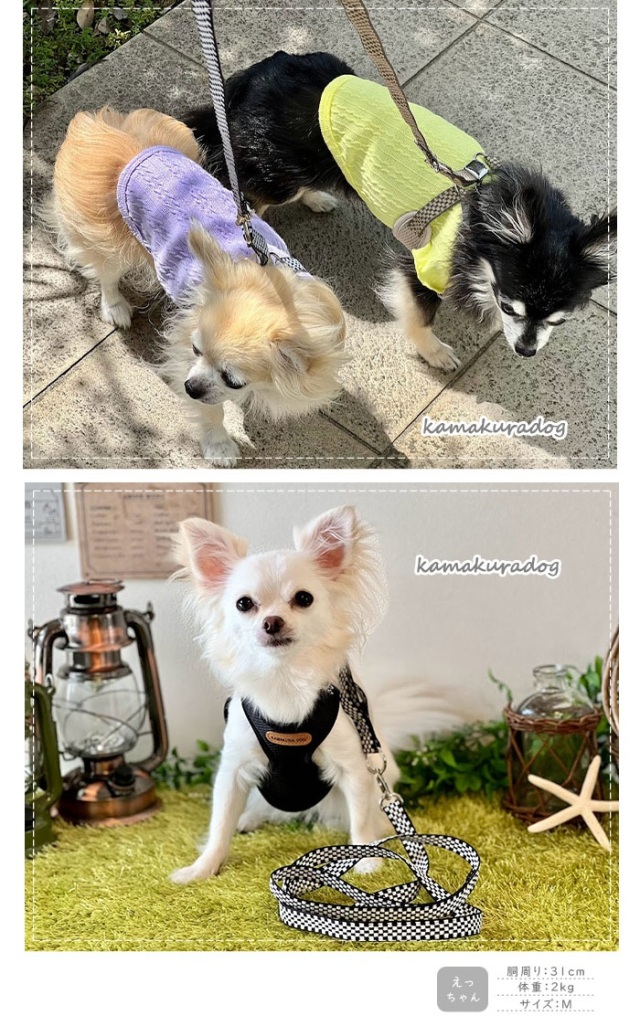 可愛い小型犬の洋服通販 鎌倉ドッグ チェックメッシュハーネス