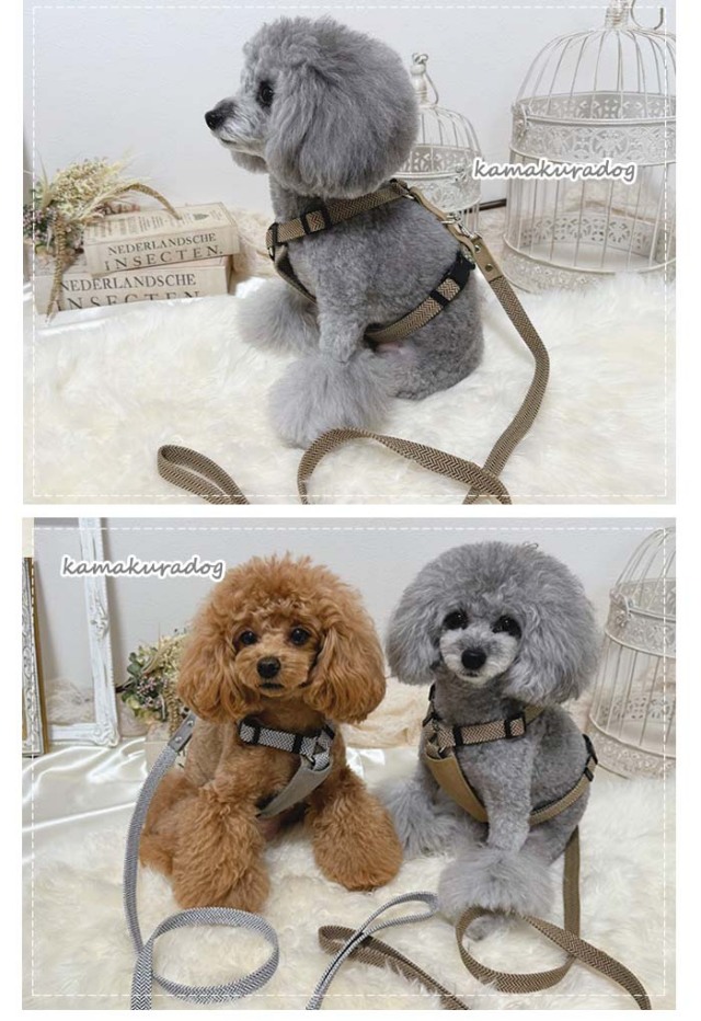 エルメス犬イラストのトランプセット Hermes エルメスブランド犬用首輪ハーネスペット用品首輪