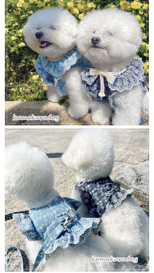 h254ra3.jpg?t=20240514105200