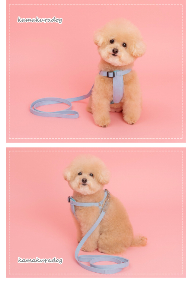 ハンドメイド　カットソー　オーダー小型犬 カットソー - キミノフク。