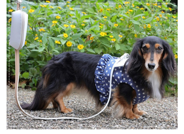 天使ハーネス 可愛い小型犬の洋服通販 鎌倉ドッグ