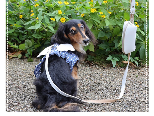 天使ハーネス 可愛い小型犬の洋服通販 鎌倉ドッグ