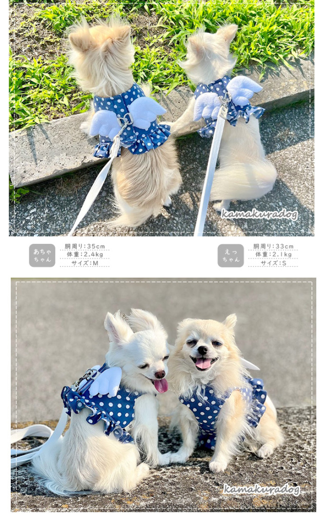 【犬用　天使ハーネス】Luanadog 犬用天使ハーネス】Luanadog